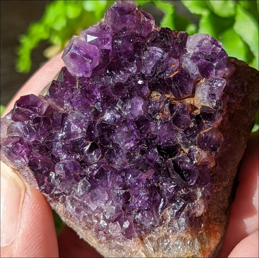 Gorgeous Raw Amethyst Cluster Ethically Sourced Brazil #1