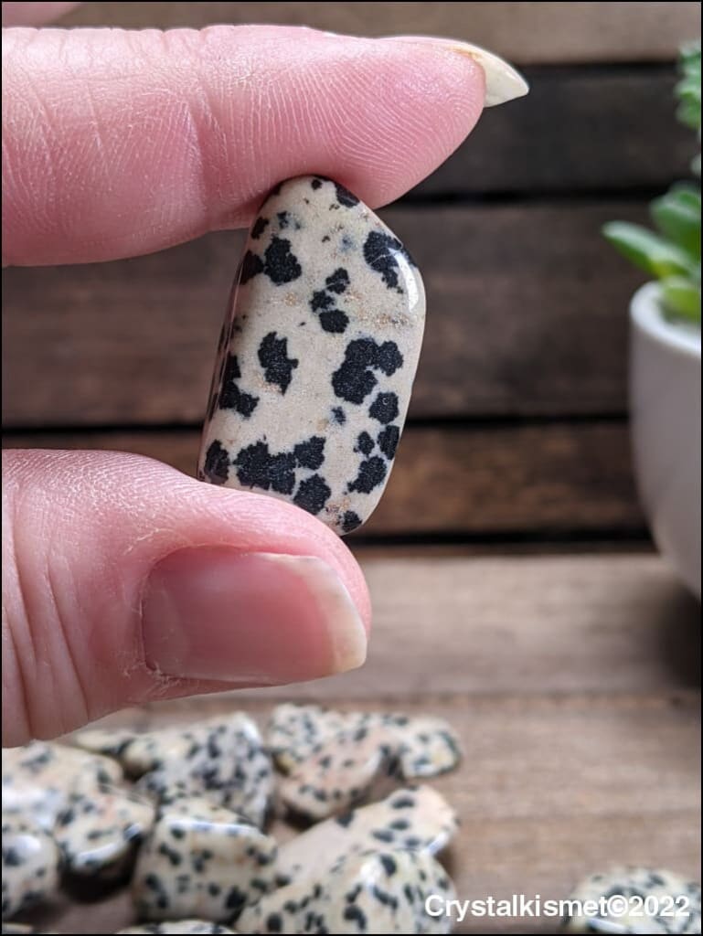 Dalmatian Jasper healing tumble stones Ethically Sourced