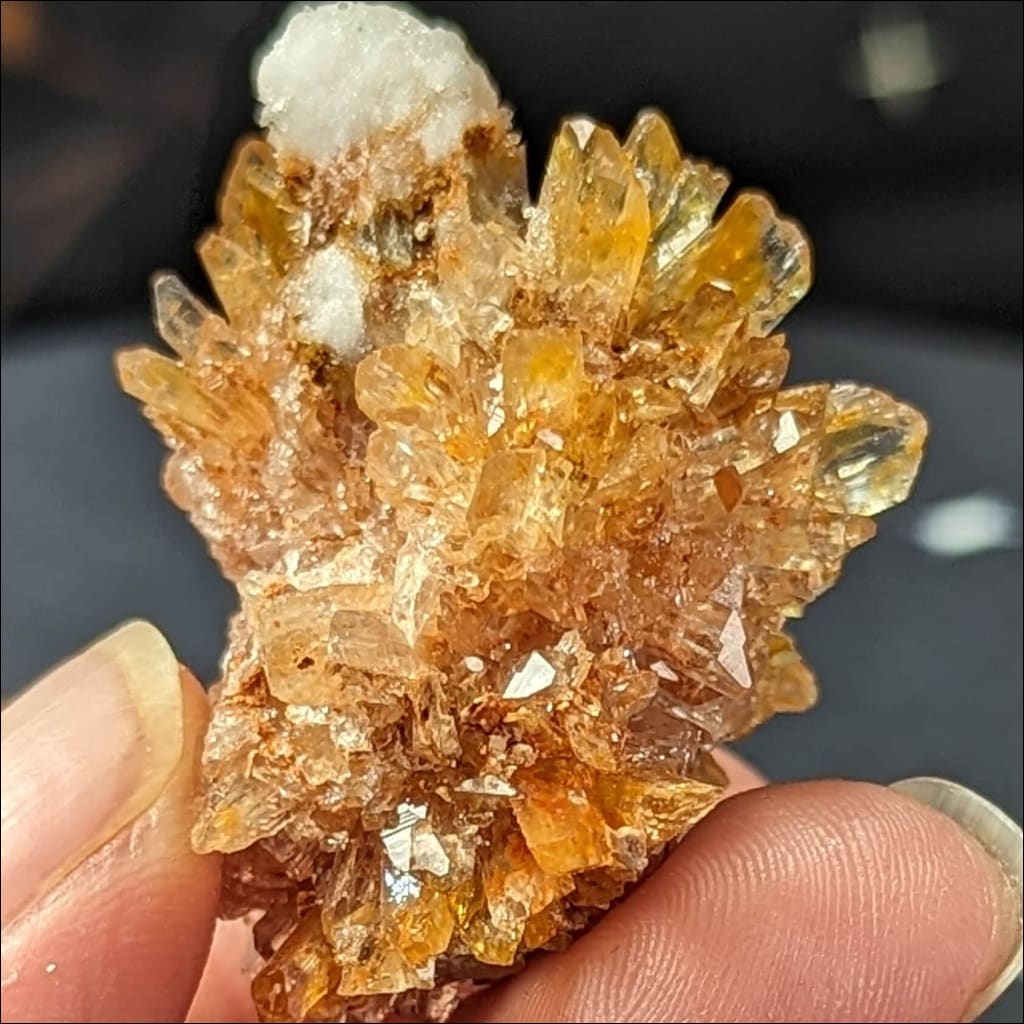 Sparkly Baby Creedite Mineral Durango, Mexico Creedite Specimen creedite crystal Orange Creedite
