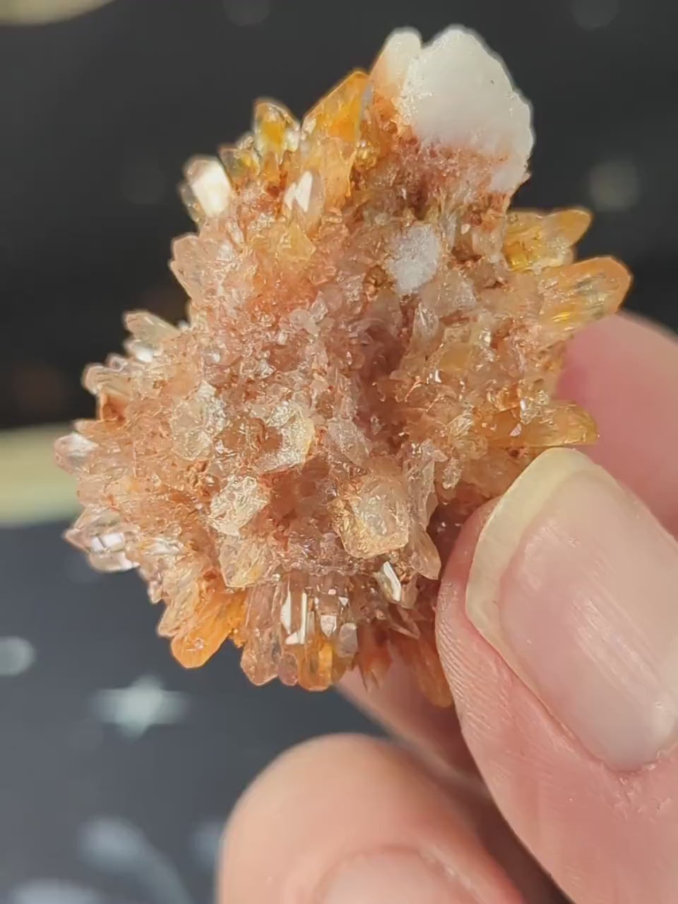 Sparkly Baby Creedite Mineral Durango, Mexico  Creedite Specimen  creedite crystal Orange Creedite