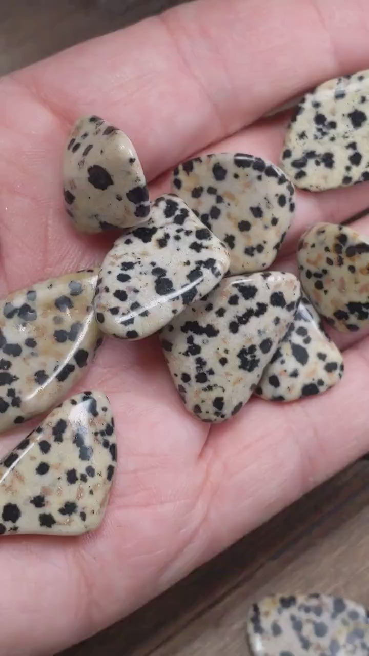 Dalmatian Jasper healing tumble stones Ethically Sourced
