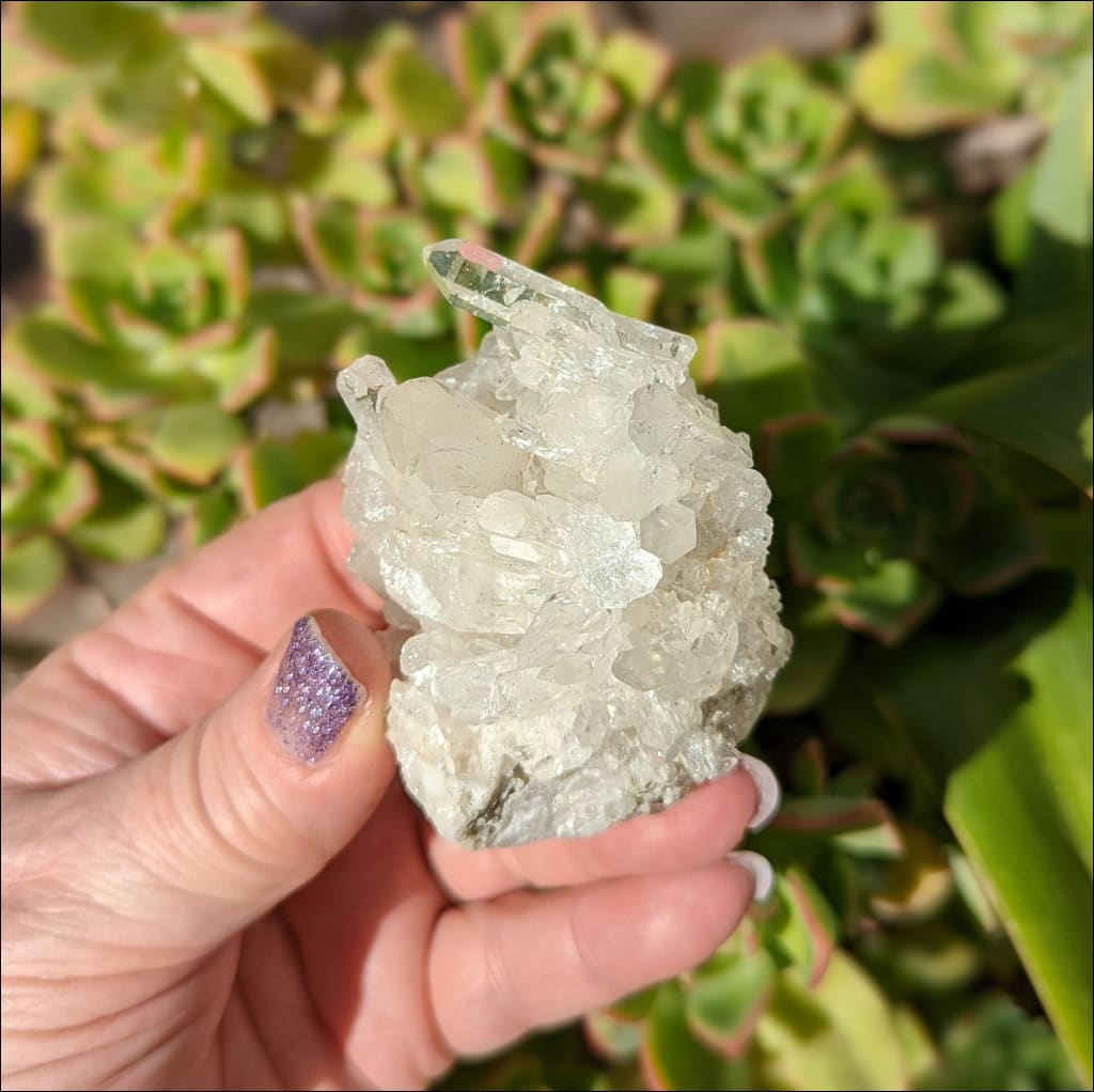 Gorgeous High Grade Clear Quartz Cluster Ethically Sourced 